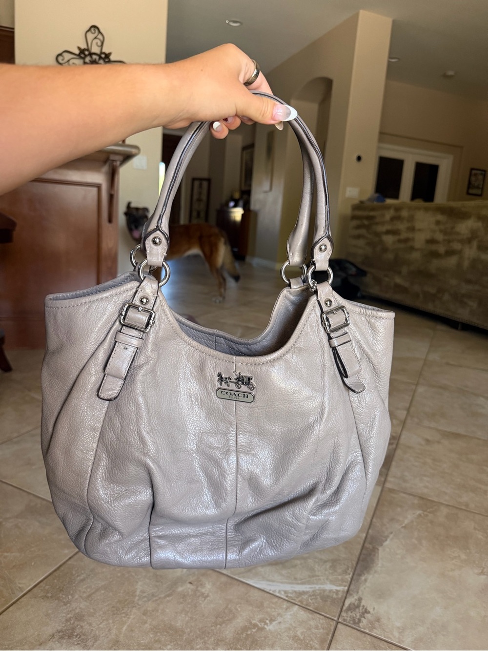 Coach Silver-Gray Leather Hobo Bag